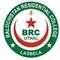 BRC & Polytechnic Institute Balochistan logo